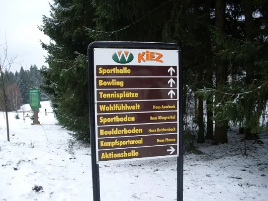 98* Wintertrainingslager Auerbach