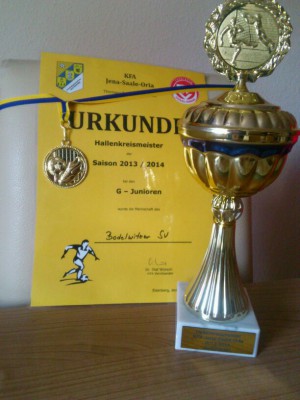 Bambini´s werden sensationell Hallenkreismeister!!!
