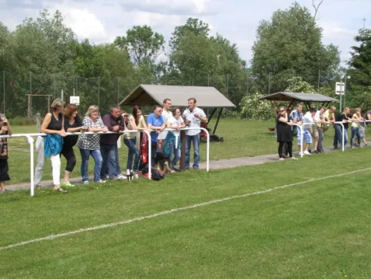 BSV I - SV Gräfenwarth I 1:0 (1:0)