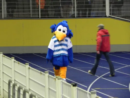 Beim Spiel FCC-Torgelow