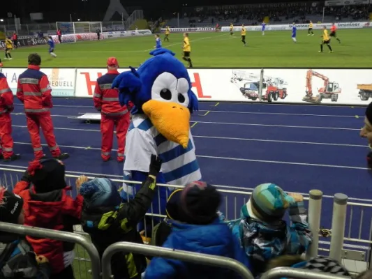 Beim Spiel FCC-Torgelow