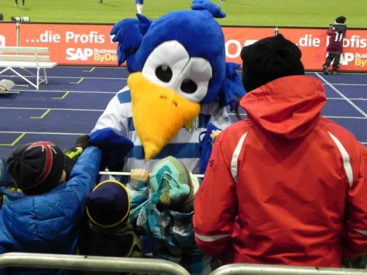 Beim Spiel FCC-Torgelow
