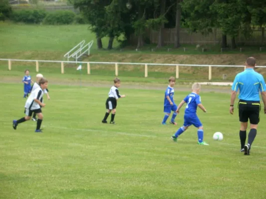 Endrunde Bambini`s 2012/2013
