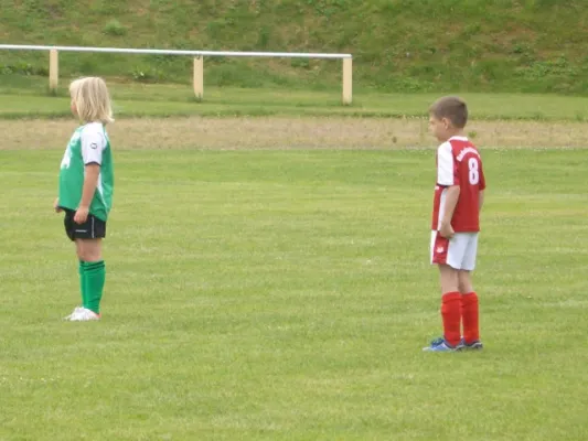 Endrunde Bambini`s 2012/2013