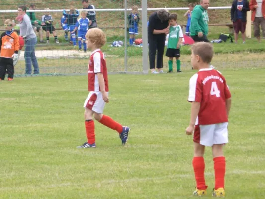 Endrunde Bambini`s 2012/2013