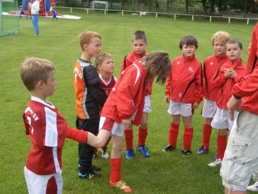Endrunde Bambini`s 2012/2013