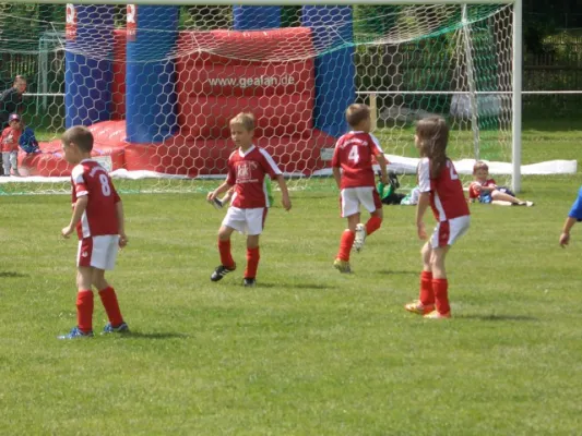 Endrunde Bambini`s 2012/2013