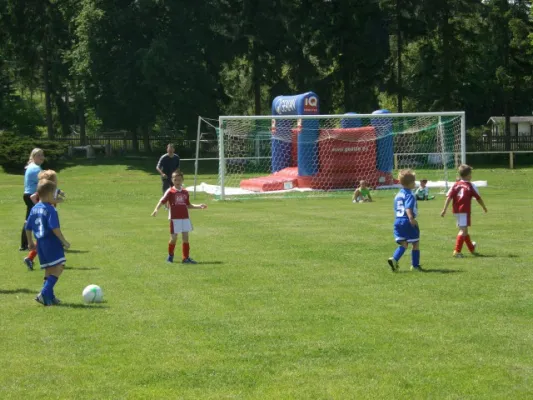 Endrunde Bambini`s 2012/2013