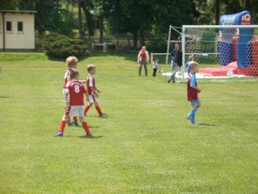 Endrunde Bambini`s 2012/2013