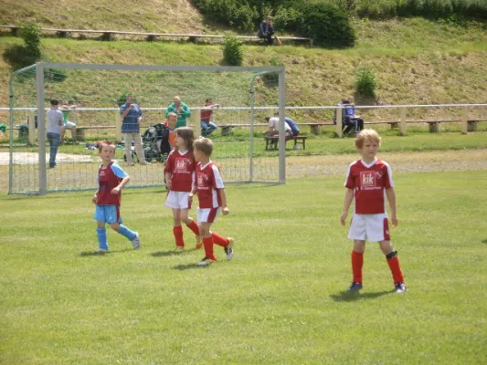 Endrunde Bambini`s 2012/2013