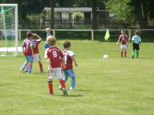 Endrunde Bambini`s 2012/2013