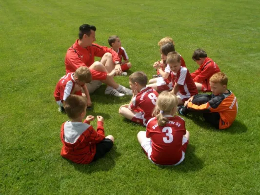Endrunde Bambini`s 2012/2013