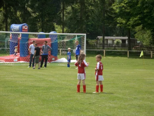 Endrunde Bambini`s 2012/2013