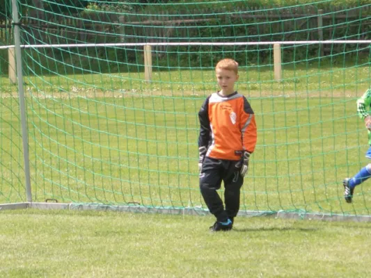 Endrunde Bambini`s 2012/2013