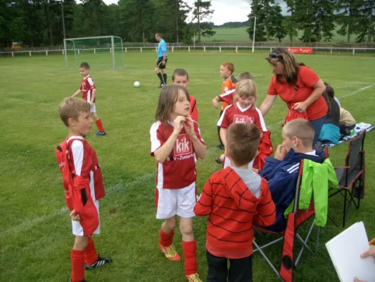 Endrunde Bambini`s 2012/2013