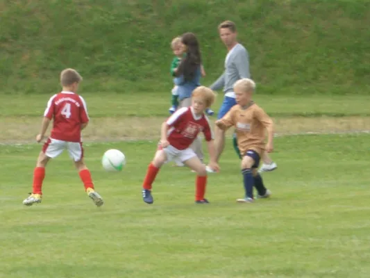 Endrunde Bambini`s 2012/2013