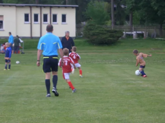 Endrunde Bambini`s 2012/2013