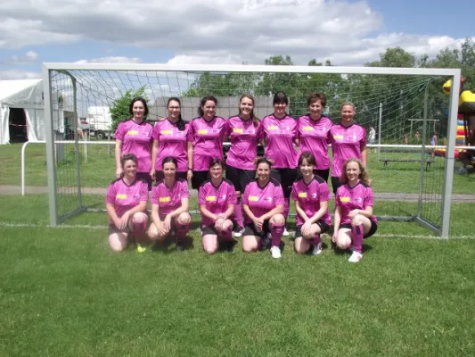 BSV-Sportlerheim-Cup 2013