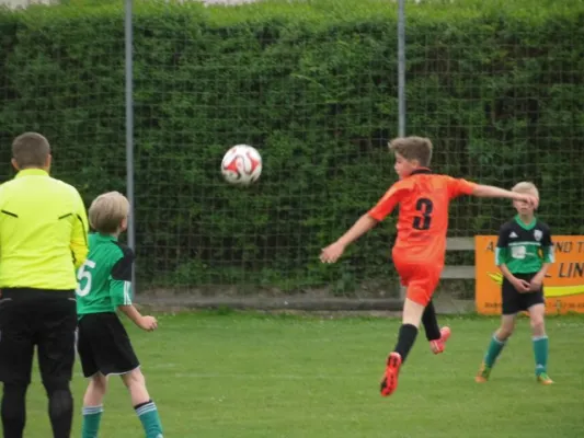 BSV E- Rodatal Zöllnitz E 0:1 (0:1)