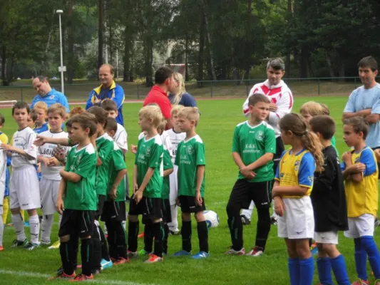 F1-Junioren Kreismeisterschaft 2014/2015