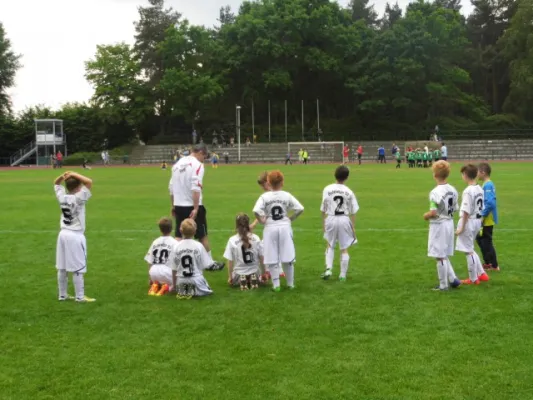 F1-Junioren Kreismeisterschaft 2014/2015