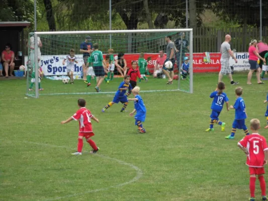 Bambini-Turnier BSV I