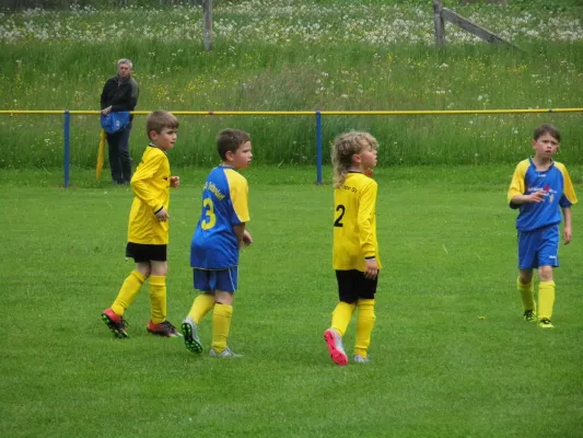 F1-Jun. Oettersdorf-BSV 1:5 (1:3)