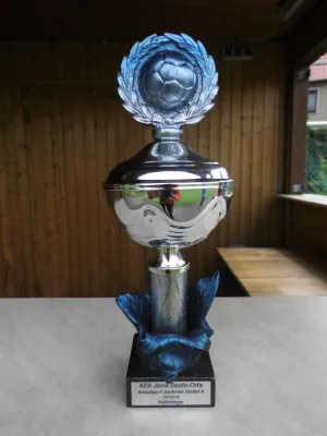 F1-Jun. Oettersdorf-BSV 1:5 (1:3)