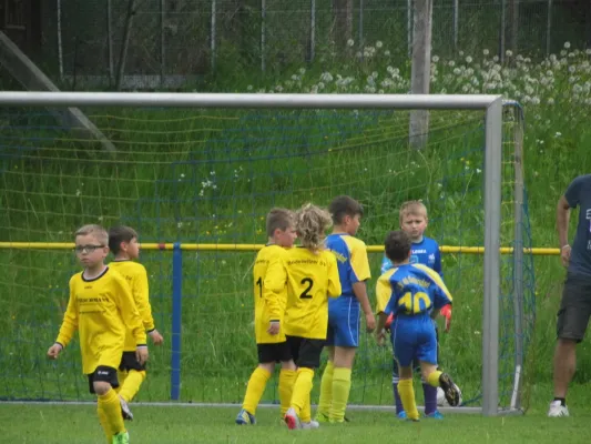 F1-Jun. Oettersdorf-BSV 1:5 (1:3)