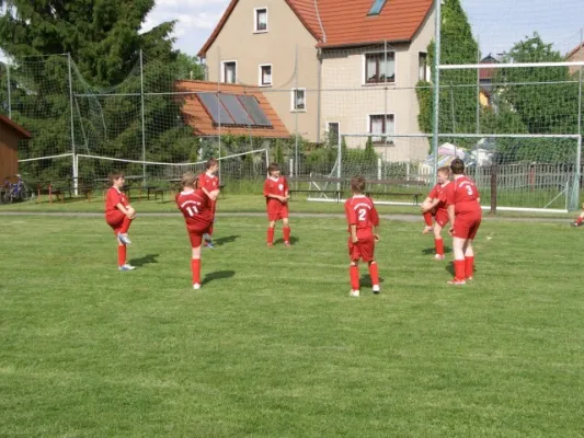 99* BSV D - Orlatal E 5:1 (2:1)