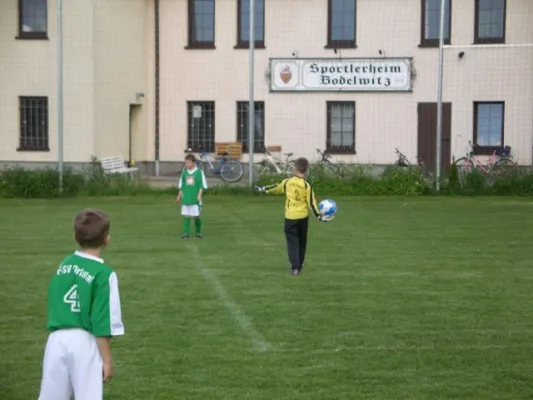99* BSV D - Orlatal E 5:1 (2:1)