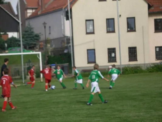 99* BSV D - Orlatal E 5:1 (2:1)