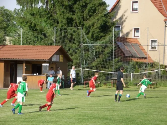 99* BSV D - Orlatal E 5:1 (2:1)