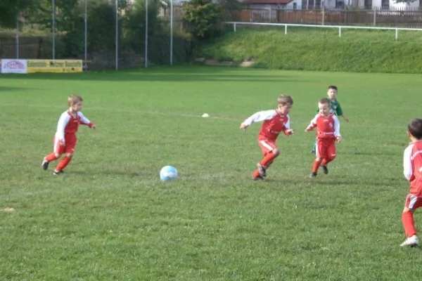 96* Bambini-Turnier Bodelwitz