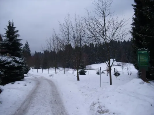 98* Wintertrainingslager Auerbach