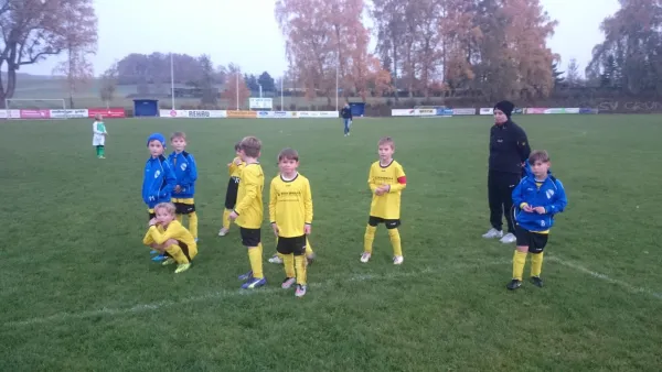 30.10.2015 Triptis/Mädchen vs. Bodelwitzer SV