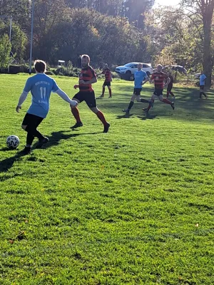 06.11.2022 TSV 1898 Neunhofen vs. Bodelwitzer SV