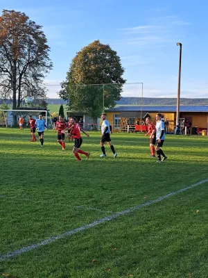 06.11.2022 TSV 1898 Neunhofen vs. Bodelwitzer SV