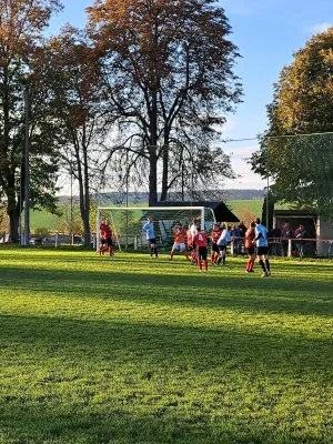 06.11.2022 TSV 1898 Neunhofen vs. Bodelwitzer SV