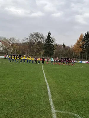 15.11.2025 Bodelwitzer SV vs. Ranis/Krölpa II