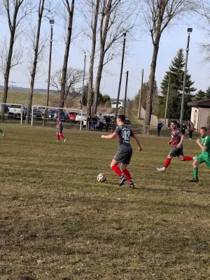 08.03.2026 TSG Zwackau vs. Bodelwitzer SV