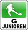 Bambini-Turnier am So., 16.06.13 ab 09.30 Uhr in Bodelwitz